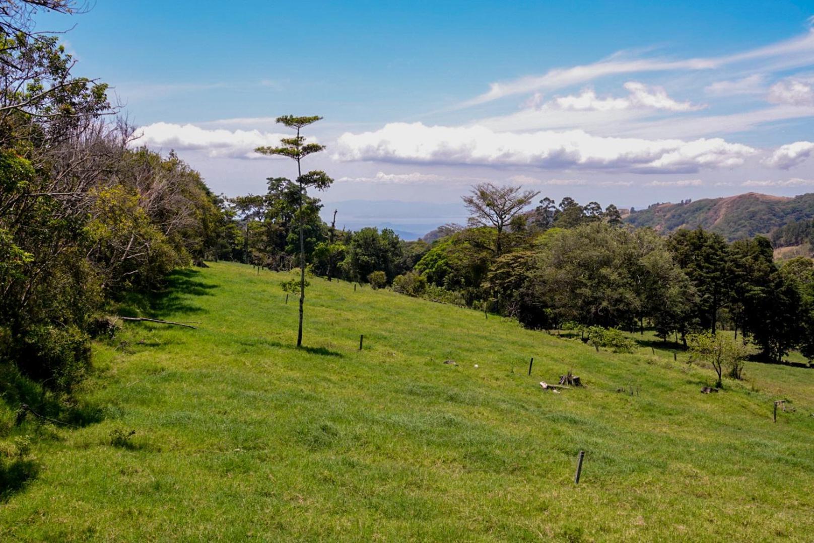Cabana Indira Monteverde Luaran gambar