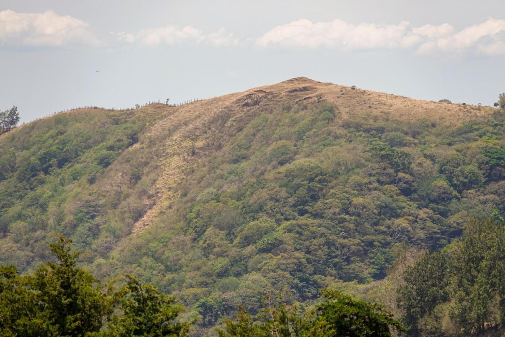 Cabana Indira Monteverde Luaran gambar
